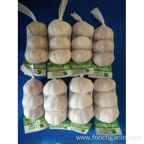 New Crop Fresh Garlic Jinxiang High Quality